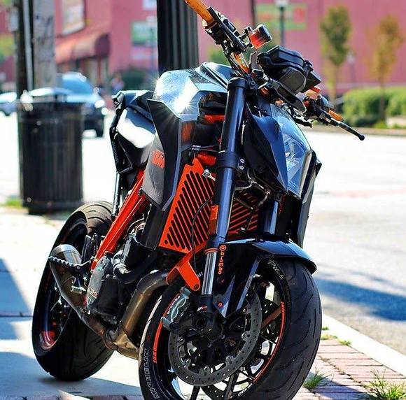 Meet your Posher, Lou - Picture 1 of 1